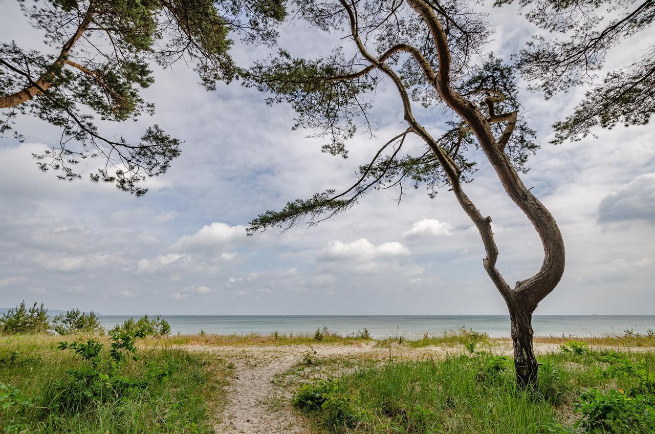 Fewo Prora - Hygge Lägenhet Binz Exteriör bild